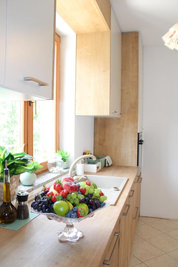 Apartment Noel Sveti Vid-Miholjice 外观 照片
