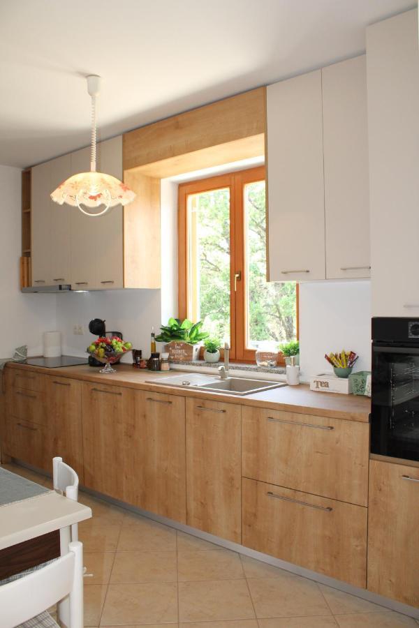 Apartment Noel Sveti Vid-Miholjice 外观 照片